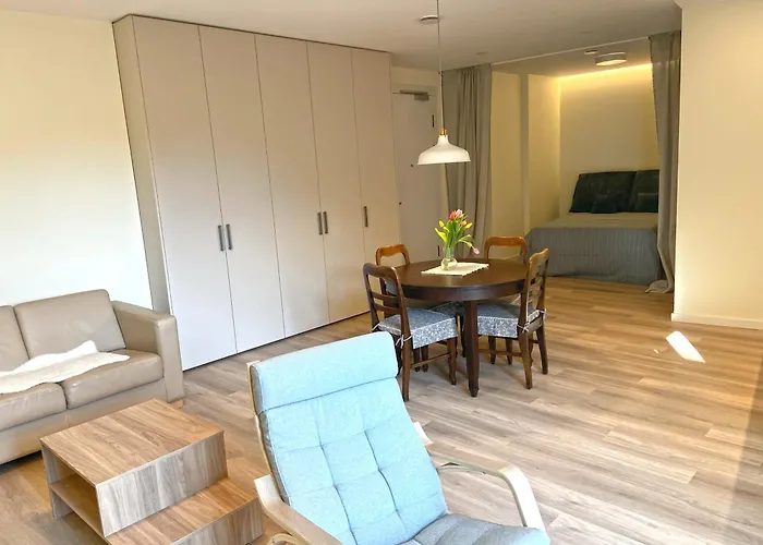 New Cozy Near River And Center * Vilnius